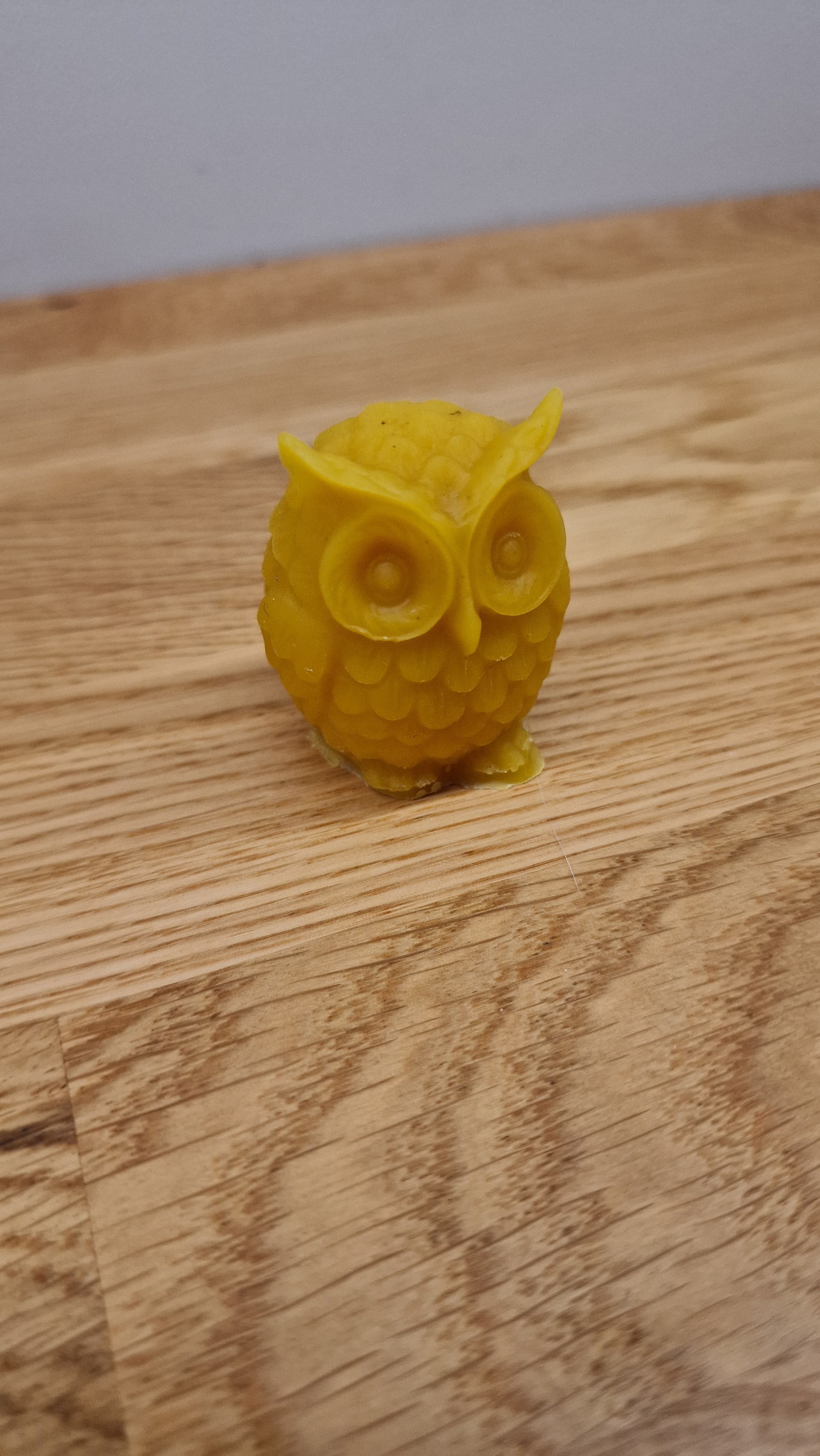 owl