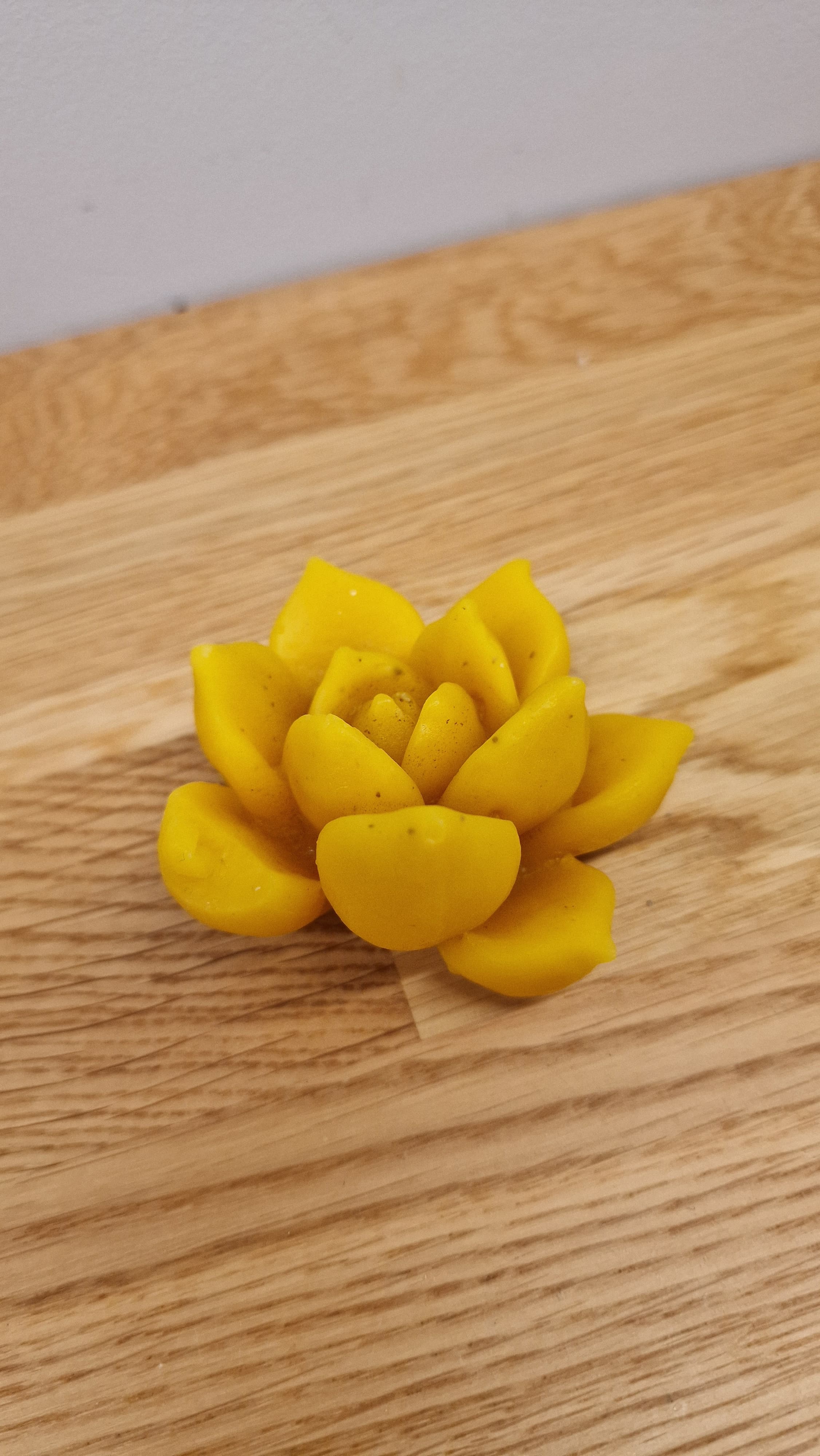 succulent